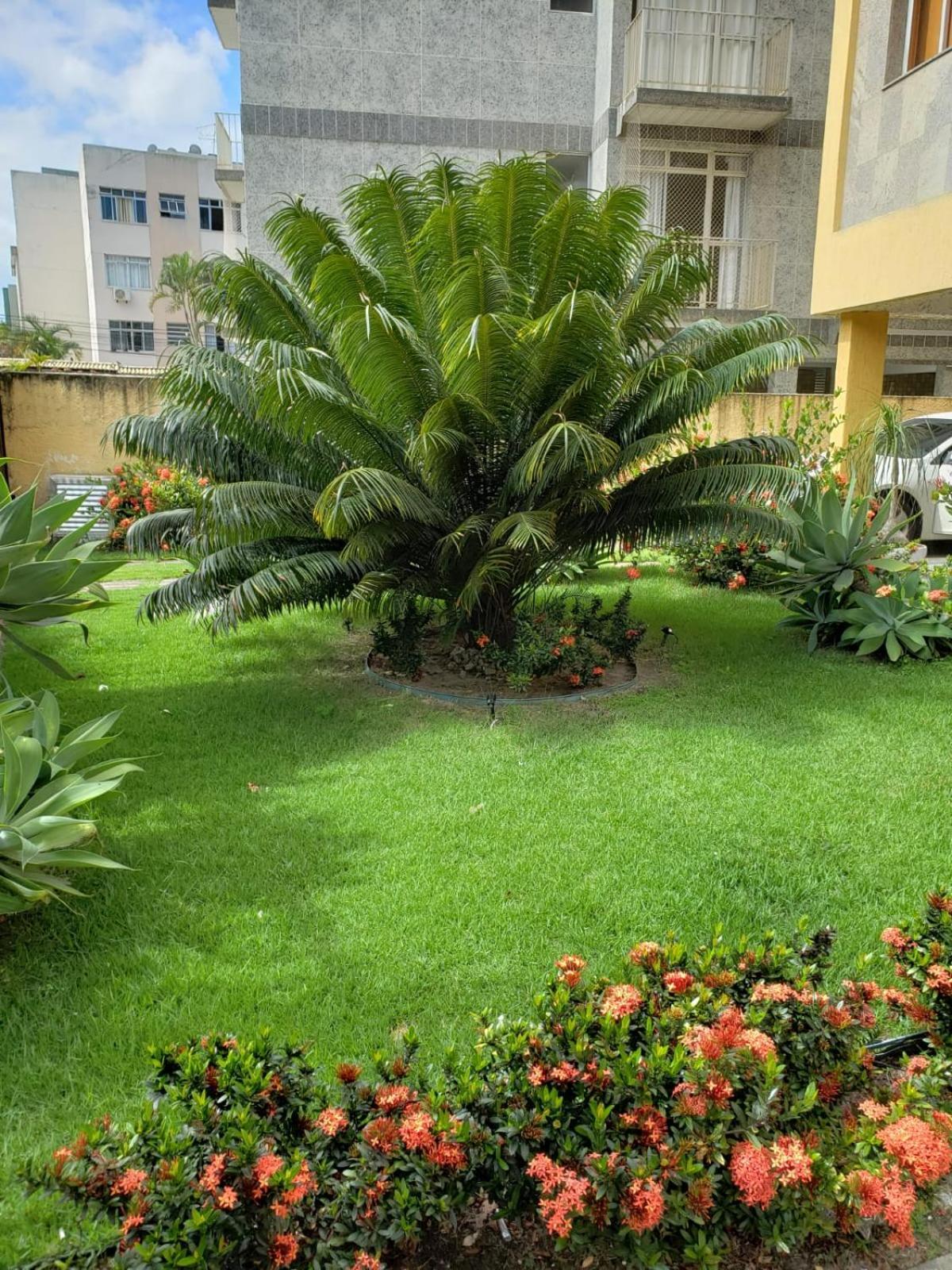 Localizacao Imbativel! A 98M Da Praia Do Forte Com Conforto, Ar-Condicionado E Estacionamento! Cabo Frio Exterior foto